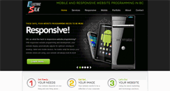 Desktop Screenshot of electricsilk.com